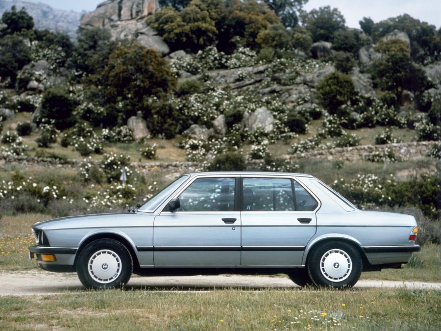  BMW 524td 1983 года  (фото 14 из 16)